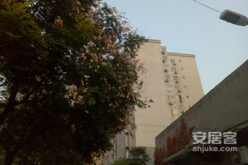 汤阴幸福家房产怎么样(汤阴幸福家园是大产权吗)