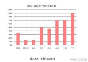 住房产权户数怎么算的(住房产权比例什么意思)